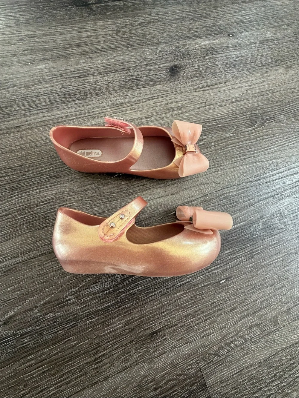 Mini Melissa shiny rose